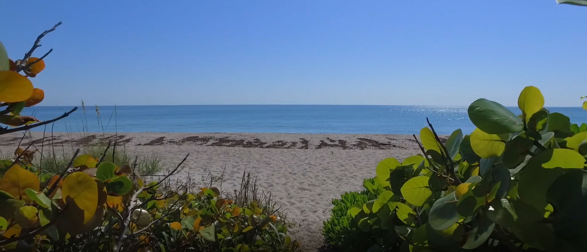 iagm-palm-beach-beach